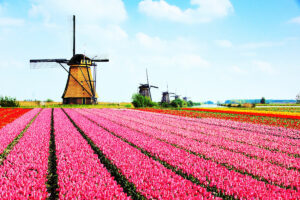 Days of the Week, Months, and Seasons in Dutch – uTalk Blog