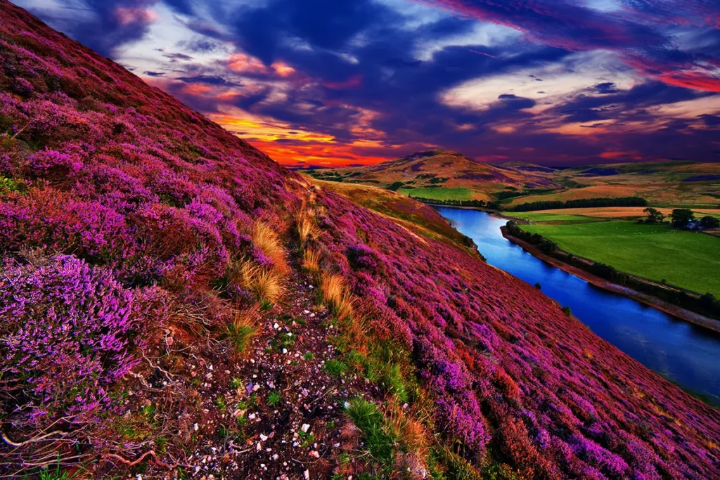Natural landscape in Scotland, UK.
