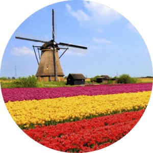 Neerlandeză