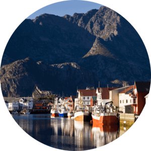 Норвежский