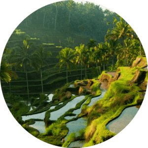 Индонезийский