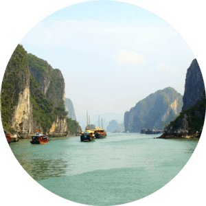 Вьетнамский