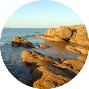 Корсиканский