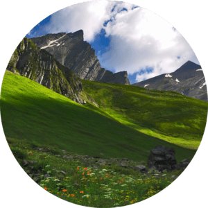 Грузинский