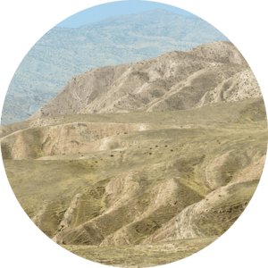 Таджикский