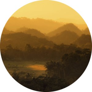 Кебуано (Бисая)